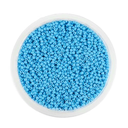 mm Charm-Glasperlen, tschechische Glasperlen, kleine runde lose Perlen für die Herstellung von Schmuck, Ohrringen und Armbändern – Hellblau – 2 mm x 1800 Stück mm Charm-Glasperlen, tschechische Glasperlen, kleine runde lose Perlen für die Herstellung von Schmuck, Ohrringen und Armbändern – Hellblau – 2 mm x 1800 Stück von TBSKUY