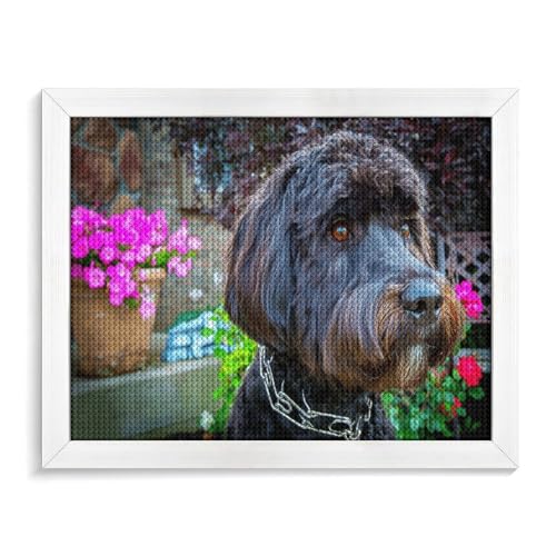 TDXYz Furry gray dog, Diy 5D Diamond Painting By Number Unique Kits Home Wall Decor Crystal Strass Wall Decor Cross Stitch50x60cm/19.68x23.62 von TDXYz