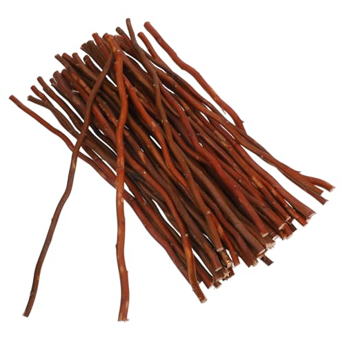 TEHAUX 1 Satz Natürliche Trockene Zweige Dekoration Reed-diffusor-sticks Holzstäbchen Zum Basteln Diorama-materialien Gefälschte Stöcke Birkenstämme Lange Holzstöcke Brown 50 Stück von TEHAUX