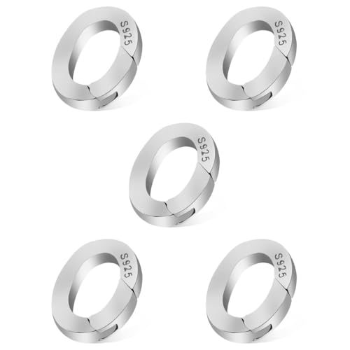 TEHAUX 5st Schmuckschnalle Armbandverschluss Schmuckzubehör Schmuckverschlüsse Und Verschlüsse Verschluss Zur Schmuckherstellung Verschlüsse Zur Schmuckherstellung Silver Silber- von TEHAUX