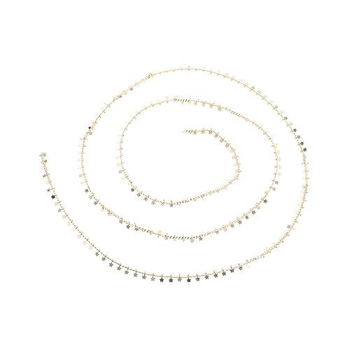 TEHAUX Hängende Scheibenkette Zubehör Kettenverzierung Für Armbandkette Diy-kette Diy Kleidungsdekorkette Flache Kette Selber Machen Dekorationskette Schmuck Diy Kette Golden Legierung TEHAUX Hängende Scheibenkette Zubehör Kettenverzierung Für Armbandkette Diy-kette Diy Kleidungsdekorkette Flache Kette Selber Machen Dekorationskette Schmuck Diy Kette Golden Legierung von TEHAUX