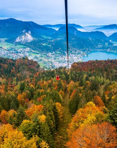 THISIT Malen nach Zahlen für Erwachsene, Seilbahn, Auto, Aussicht, von oben, Bäume-16 x 20 Zoll Rahmenlos von THISIT