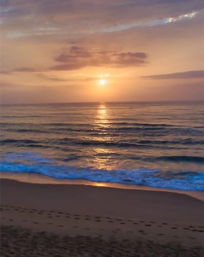 THISIT DIY Malen Nach Zahlen-Vorgedruckt Leinwand,Sonnenuntergang, Meer, Strand-40 * 50 cm mit Rahmen von THISIT