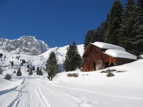 THISIT Malen nach Zahlen für Erwachsene, Schnee,Montage,Skifahren,Resort,Haus-16 x 20 Zoll mit Rahmen von THISIT