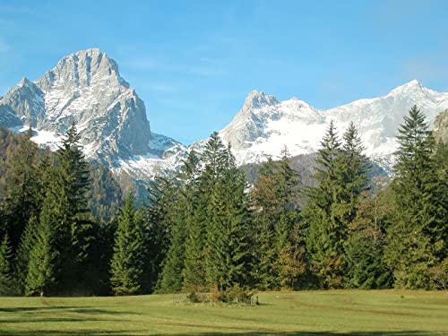 THISIT Malen nach Zahlen für Erwachsene Kinder Anfänger,Berge,Alpen,Bäume-40 * 50cm Rahmenlos von THISIT