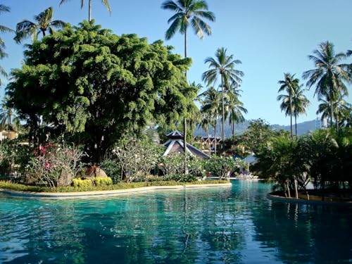 THISIT Malen nach Zahlen für Erwachsene und Kinder,Park, Phuket, Thailand-16 x 20 Zoll Ohne Rahmen von THISIT