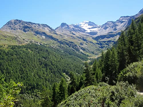 THISIT Malen nach Zahlen für Erwachsene und Kinder,Schweiz,Alpen,Berge-40 * 50cm Ohne Rahmen von THISIT