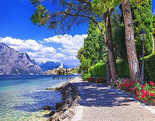 TISAGUER DIY 5D Diamant Malerei Kit,Blick auf den Gardasee Malcesine Italien vom Steinradweg mit Blumenbäumen Seebild,Kristall Diamond Painting Kunst Handwerksbedarf für Wohnzimmer Wand Deko 16x20inch von Sattie