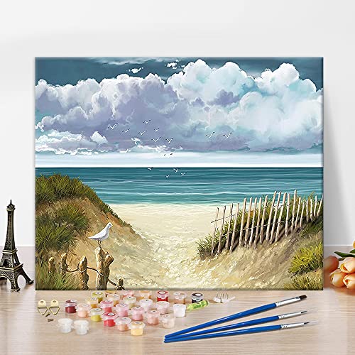 Malen nach Zahlen Kits, Strand Malen nach Zahlen für Erwachsene Anfänger, DIY blau natürliche Landschaft mit Seevögeln Malen nach Zahlen, 16x20 Inch Malen nach Zahlen für Home Decor ohne Rahmen von TISHIRON