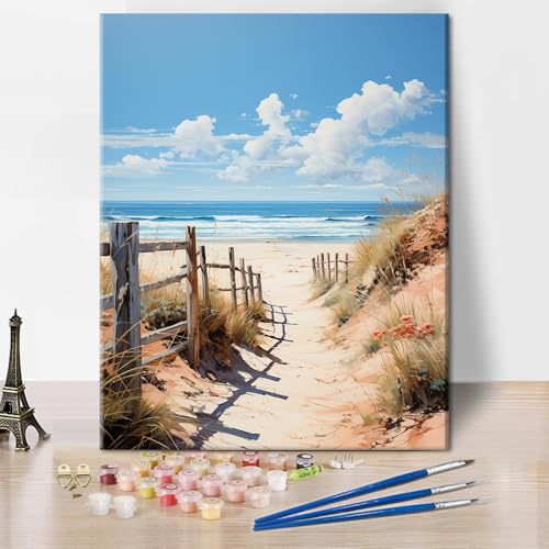 Strand Malen nach Zahlen für Erwachsene Zaun Malen nach Zahlen Kit für Erwachsene Landschaft Acryl Malen nach Zahlen Kits auf Leinwand Seaside Ölgemälde für Geschenk Home Wall Decor 16 "x20"(Frameless von TISHIRON