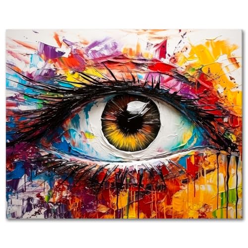 TISHIRON Augen Malen nach Zahlen Erwachsene, Farbige Augen Malen nach Zahlen, Malen nach Zahlen de Pinsel und Acrylfarbe, 16X20 Inch Augen Flammen Malen nach Zahlen Erwachsene Familie Freunde von TISHIRON