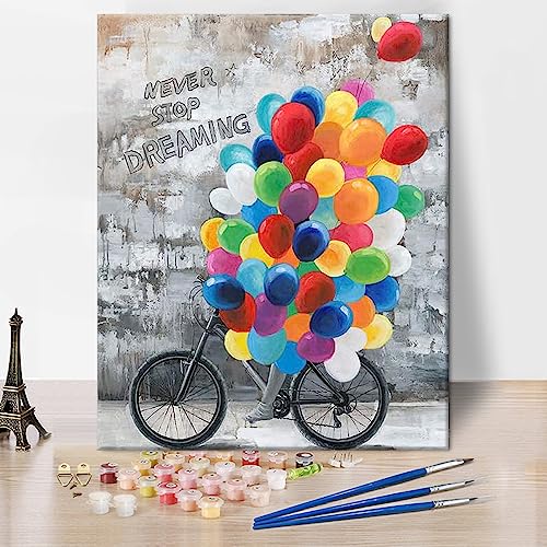 TISHIRON Ballon Malen nach Zahlen für Erwachsene Anfänger NEVE STOP DRAMING Farbe nach Zahl DIY Ölgemälde Kit mit Pinseln Acrylpigment für Home Wall Decor 16 "x20 von TISHIRON