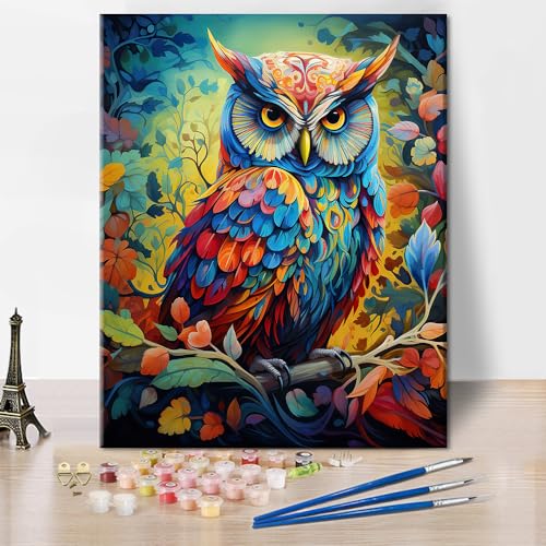 TISHIRON Bunte Eule DIY Malen nach Zahlen Erwachsene Anfänger, Malen mit Acryl Tiere Kunst Malerei Kits, Leinwand Geschenke Kunsthandwerk, Ideal Kunst Geschenk für Kinder16x20inch rahmenlos von TISHIRON