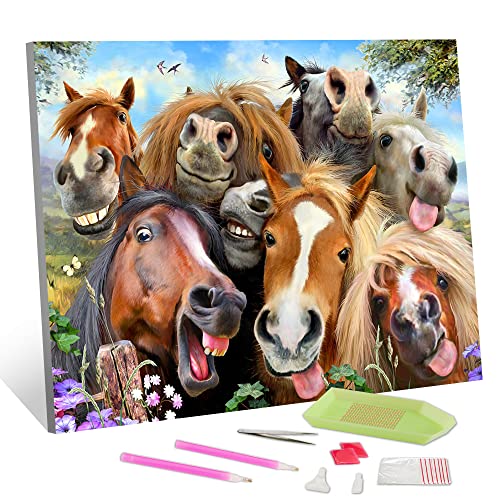 TISHIRON DIY 5D Diamond Painting Horse by Number Kits für Erwachsene Horse Diamond Painting Kits Round Full Drill Diamond Art Kits Smiling Horses Arts Craft for Home Wall Art Decor 12x16inch von TISHIRON