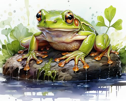 TISHIRON DIY Malen nach Zahlen für Erwachsene Der grüne Frosch Malen nach Zahlen Kits auf Leinwand für Home Wall Decor - Geschenke Kunsthandwerk 16x20inch(Ohne Rahmen) von TISHIRON