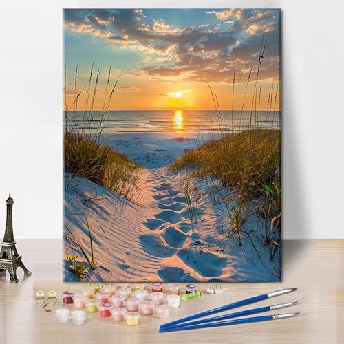 TISHIRON Malen Nach Zahlen Erwachsene, DIY Handgemalt Ölgemälde Kit für Anfänger und Erwachsene Mit 3-Pinseln und Acrylfarbe, Ohne Rahmen 40X50CM (Sonnenuntergang am Meer) von TISHIRON