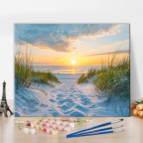 TISHIRON Malen nach Zahlen Erwachsene,Sonnenuntergang am Meer DIY Handgemalt Ölgemälde Kit Sand, Gras und Wellen Paint by Numbers Adult Mit 3 - Pinseln und Leinwand Kit - 40 X 50 CM von TISHIRON