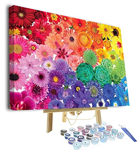 TISHIRON Malen nach Zahlen für Erwachsene, DIY Malen nach Zahlen Regenbogen Blume, Sukkulenten Pflanzen Malen nach Zahlen Kits mit Pinsel und Acryl-Pigment, 16x20 Inch Farbe für Home Decor mit Rahmen von TISHIRON