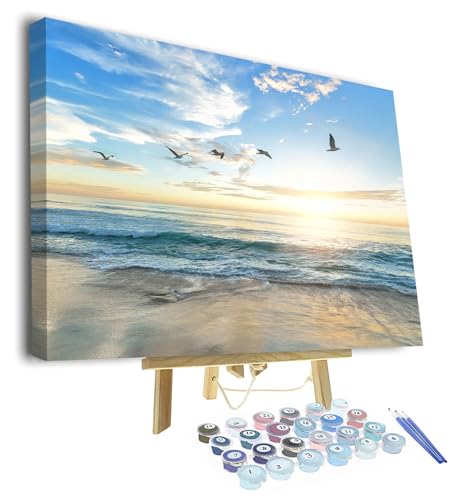 TISHIRON Malen nach Zahlen für Erwachsene Anfänger,Kinder Sonnenuntergang Strand Ozean Vögel Malerei Möwen DIY Ölgemälde Kit für Home Wall Decor mit Rahmen 16 "x20 von TISHIRON