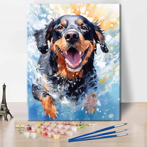 TISHIRON Malen nach Zahlen für Erwachsene Hund, der durch Wasser rennt für Erwachsene Kinder und Anfänger Leinwandkunst Wanddekoration Gemälde nach Zahlen Leinwand Geschenk 16x20 Zoll von TISHIRON