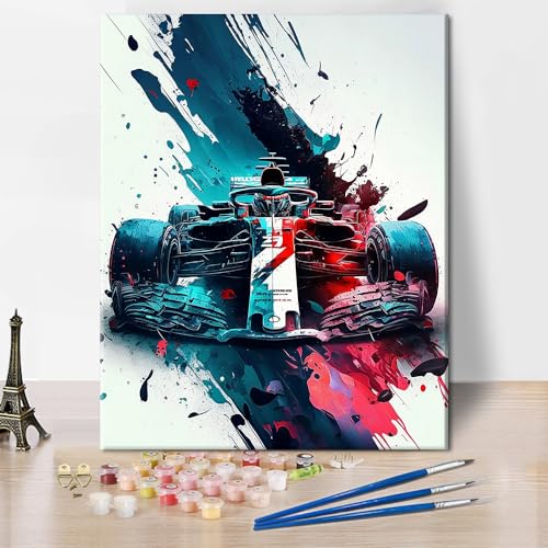 TISHIRON Racing Paint by Numbers F1 Racing Paint by Numbers für Erwachsene Anfänger DIY Auto Ölmalerei Kit für Erwachsene mit Pinseln und Acryl Pigment Kunsthandwerk Wanddekoration 16x20inch von TISHIRON