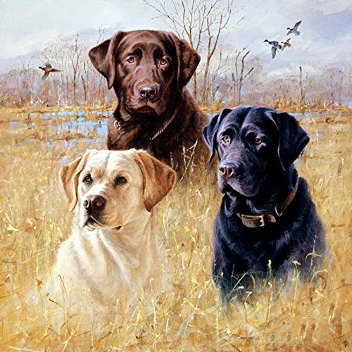 DIY 5D Full Diamond Painting Number Kits Three Cute Labrador Dog On The Grass Square Diamond Full Drill Crystal Embroidery Cross Stitch Arts Crafts for Home Wall Decor 50 * 60cm von TNXEV