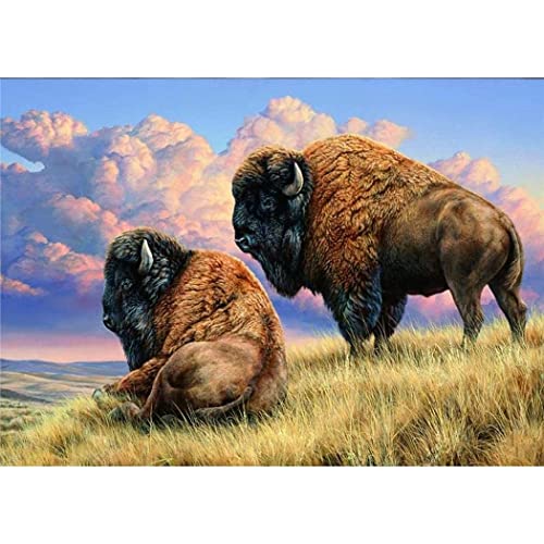 TNXEV 5D Diamond Painting Kits for Adults and Kids Animal Bison Buffalo Full Drill Round Diamond Art 40 * 50cm von TNXEV