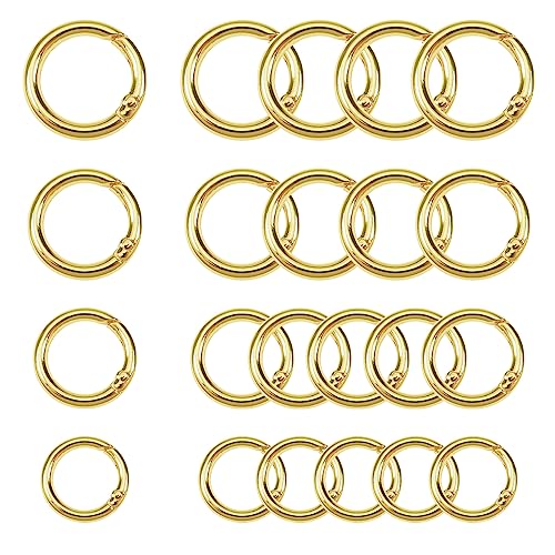 TOAOB 20 Stück Runde Karabinerring Frühling Sprung Ringe 20mm bis 35mm Runde Karabiner O Ring Karabinerhaken Zinklegierung Gold für Schlüsselanhänger Halter Taschen Geldbörsen Tragetaschen von TOAOB THE ONE AND ONLY BABY