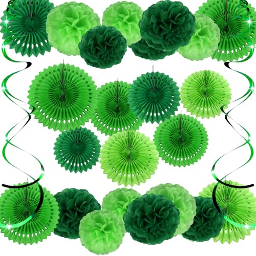 TOAOB Party Deko 19 Stück Seidenpapier Pompons Grün Serie Party Dekoration Papier Pompoms Girlande Papier Fans Fächer und Hängende Spiralen Girlande für Partydekorationen Hochzeit Set Geburtstagsdeko von TOAOB THE ONE AND ONLY BABY