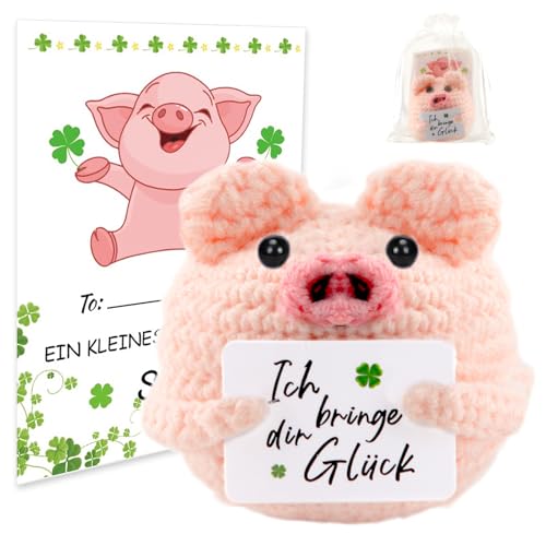 Pocket Hug Glücksschweinchen, Strickwolle Schwein Puppe mit Energiekarte Aufmunterung Geschenke Glücksbringer Prüfung Geschenk Positive Geschenke für Frauen/Freundin/Freunde/Kollegen/Erwachsene/Kinder von TOGETDREAM