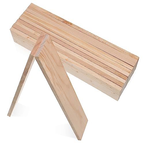 TOKIDNY 12 Stück Rechteckige Holzplatten Aus Unbehandeltem Holz Ideal Für Bastel Und Malprojekte DIY Holzplanken Zum Gestalten Und Dekorieren Naturholz Für Kreative Handarbeiten von TOKIDNY