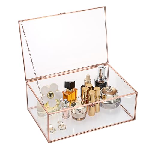 TOLIDA Extra große Vintage-Schmuckschatulle mit Deckel aus Glas – rechteckige Schmuckschatulle, Tisch-Glas-Display-Box für Schmuck, Ringe, Armbänder, Halsketten, Glas-Aufbewahrungsbox (Roségold) von TOLIDA