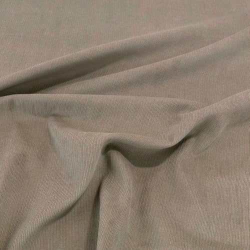 TOLKO 1m Baby Cord Stoff | feiner Baumwoll Cordsamt | Bekleidungsstoff für Hosen Jacken Kleider | weiche Meterware 140cm breit | uni Baumwollstoffe Nähstoffe günstig kaufen (Sand Beige) von TOLKO