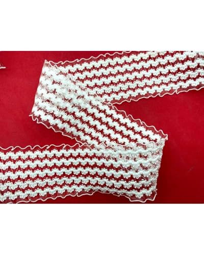 50 cm Borte Elastisches Organzaband Stickerei 5 cm hoch - Weiß 50 cm Borte Elastisches Organzaband Stickerei 5 cm hoch - Weiß von TOMASELLI MERCERIA