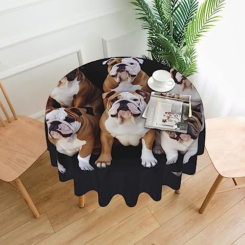 TOMPPY Runde Tischdecke mit englischer Bulldogge, bedruckt, 152,4 cm, wasserdicht, knitterfrei, waschbar, Tischdecke für Küche, Party, Tischdekoration von TOMPPY