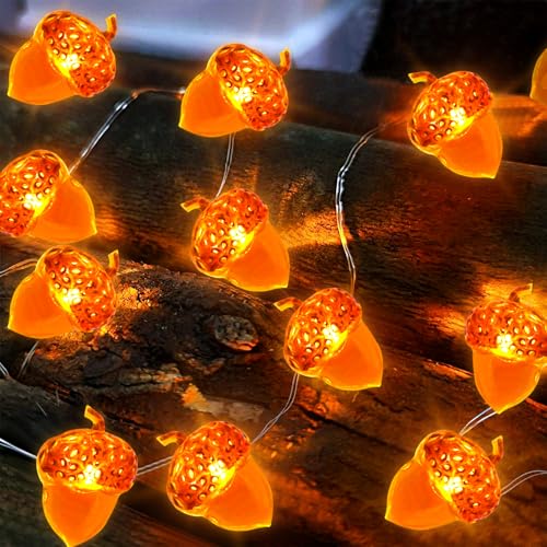 TOPJOWGA Herbst Eichel Lichterkette, 5M 50 LEDs Thanksgiving Lichterketten, Eicheln Deko Lichterketten, Halloween Herbstgirlande Deko Lichterkett, Herbst Eichel Dekoratives Licht für Party von TOPJOWGA