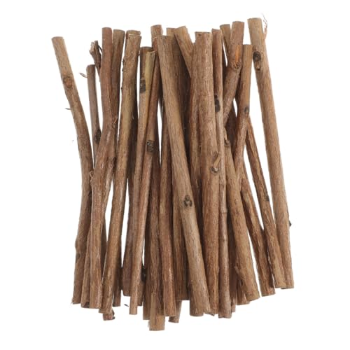 TOPPERFUN 50 Stück Natürliche Holzstäbchen Bastel Baumstäbchen Kleine Bastel Holzstäbchen Holzhandwerk Foto Requisiten Holz Bastelzweige Bastel Holzscheit Stäbchen Kleine von TOPPERFUN