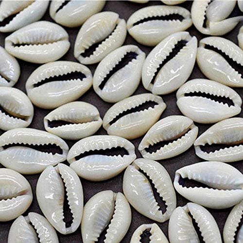 TOSSPER 50 Pc Kauri-Muscheln Muscheln Für Schmuckherstellung Oval Natürliche Spirale Shell-Korn-Ocean Beach Craft Anhänger Puka Shells von TOSSPER