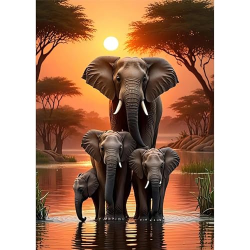 TOSTOG Diamond Painting für Erwachsene Anfänger,5D Diamant Painting Kits Bilder Elefant DIY Full Drill Diamant Malerei Set 30x40cm für Wanddekor von TOSTOG