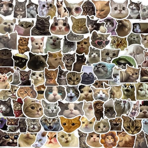 TPTGIAR 100 Stück Katzen Sticker, Lustiges Meme Sticker Set für Erwachsene Kinder, Wasserfester Sticker Meme, Cute Stickers für Skateboard Laptop Koffer Helm Motorrad Auto Fahrrad Handy von TPTGIAR