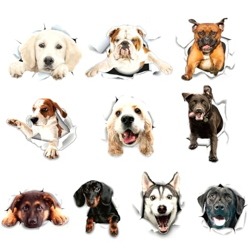 Cartoon Hund Wandaufkleber, 10 Stück Hund Dekor Wandsticker, Niedliche 3D-Hund-Wandaufkleber, Hund Aufkleber Wandtattoo, für Baby-kind-zimmer Badezimmer, Wohnzimmer, Mehrfarbig von TQPUWT