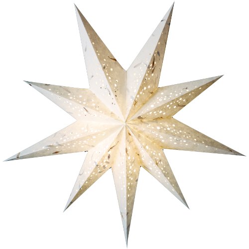 Trend Import Papierstern Starlightz Spumante White Weihnachtsstern von TREND IMPORT