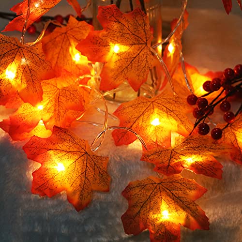 TRIXES Ahornblatt-Licht - Ahornblatt-Lichterkette - Halloween LED-Lichter - Dekorative Lichter - Herbstlichter - Gartenlichter - Raumdekoration - Partydekorationen von TRIXES