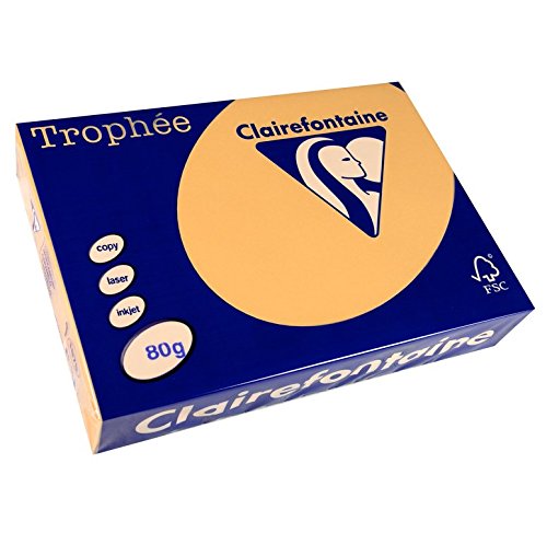 Clairefontaine 1879C - Ries mit 500 Blatt Druckerpapier / Kopierpapier Trophée, DIN A4 (21x29,7 cm), 80g, Kamelbraun Pastellfarbe, 1 Ries von Clairefontaine