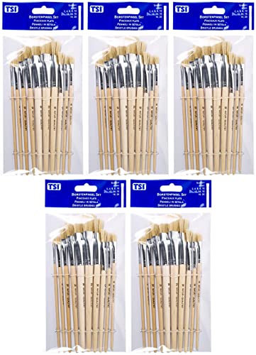 TSI 49032 TSI Borstenpinsel-Set 10 teilig (5 Packungen ? 10 Pinsel) von TSI