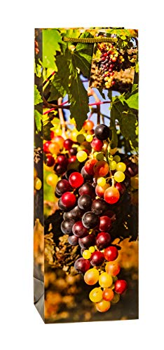 TSI 85285 Geschenkbeutel Wein, 12er Packung, Größe: Flasche groß (36 x 12 x 8 cm) von TSI