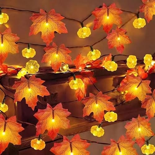 TSLBW Kürbis Ahornblatt Lichterkette Thanksgiving Halloween Dekoration Lichterkette 3 Meter 20 LED Licht Herbst Girlande Indoor Outdoor Dekoration Herbst Dekoration (A) von TSLBW