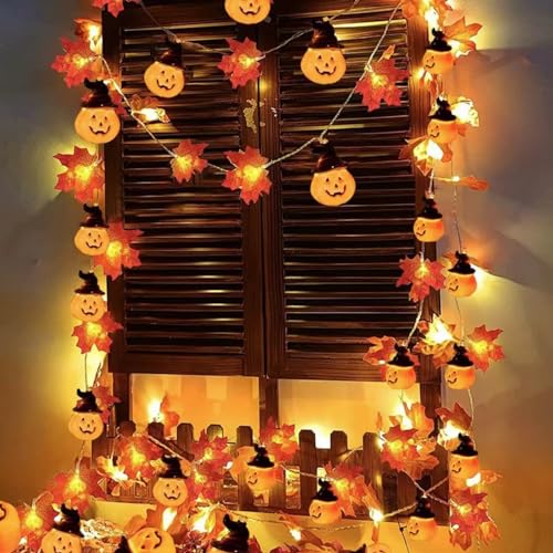 TSLBW Kürbis Ahornblatt Lichterkette Thanksgiving Halloween Dekoration Lichterkette 3 Meter 20 LED Licht Herbst Girlande Indoor Outdoor Dekoration Herbst Dekoration (B) von TSLBW