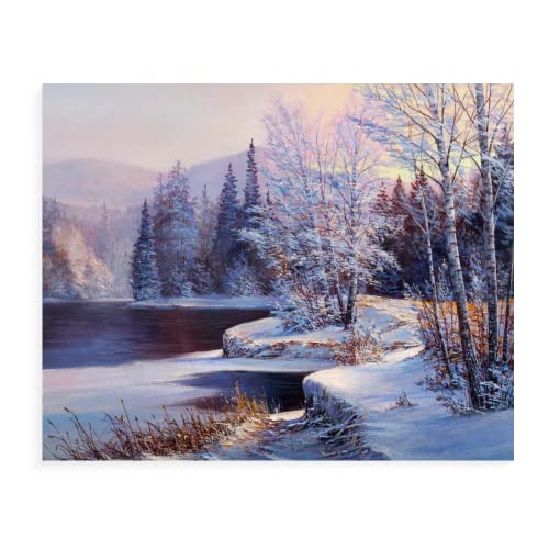 TSMMB Malen Nach Zahlen Erwachsene Landschaft Winterwald Malen Nach Zahlen Auf Leinwand Für Kinder 40X50Cm,B4 von TSMMB