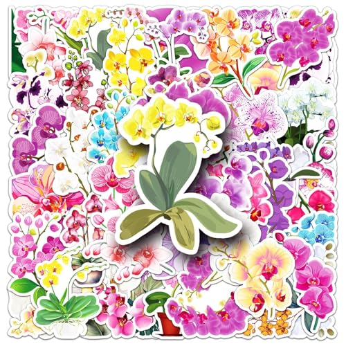 50Stück Schmetterlings Orchideen Aufkleber für Motorrad,Kühlschrank,Laptop,Koffer,Gepäck,Stoßstange, niedliche Blume Vinyl Sticker,Kinder Erwachsene Mädchen Geschenk,Pflanze Graffiti Sticker von TUIOBUN